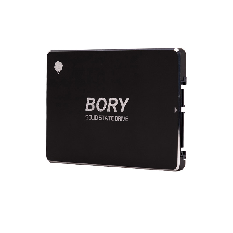 BORY%20R500-C256G%20SATA3%20256%20GB%20SSD%20550/510%20MBS%20HARDDİSK